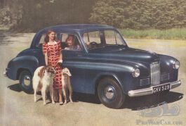 Borzoi%203%20(002).jpg